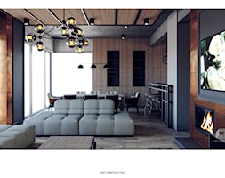 Wnętrze Steampunk - Salon, styl industrialny - zdjęcie od Archibion Pracownia Projektowa Krzysztof Czerwiński - Homebook