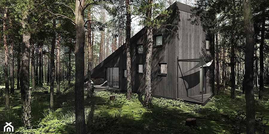 Dom w lesie - Domy, styl skandynawski - zdjęcie od esterior