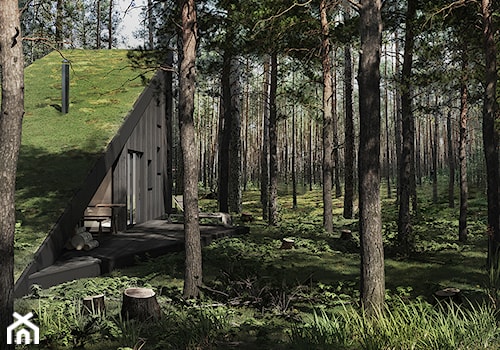 Dom w lesie - Domy, styl minimalistyczny - zdjęcie od esterior