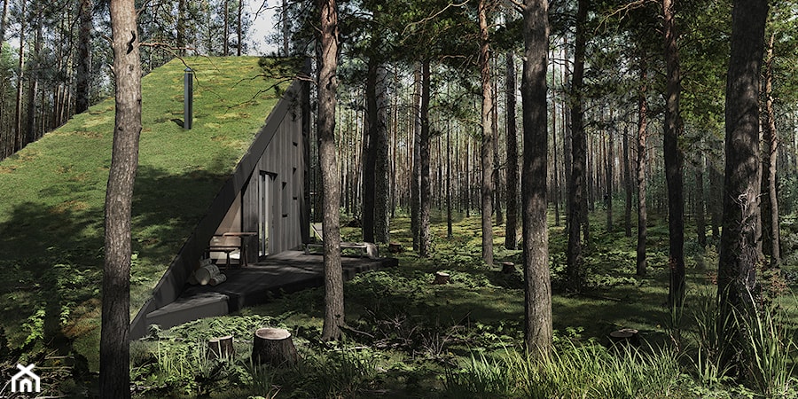 Dom w lesie - Domy, styl minimalistyczny - zdjęcie od esterior