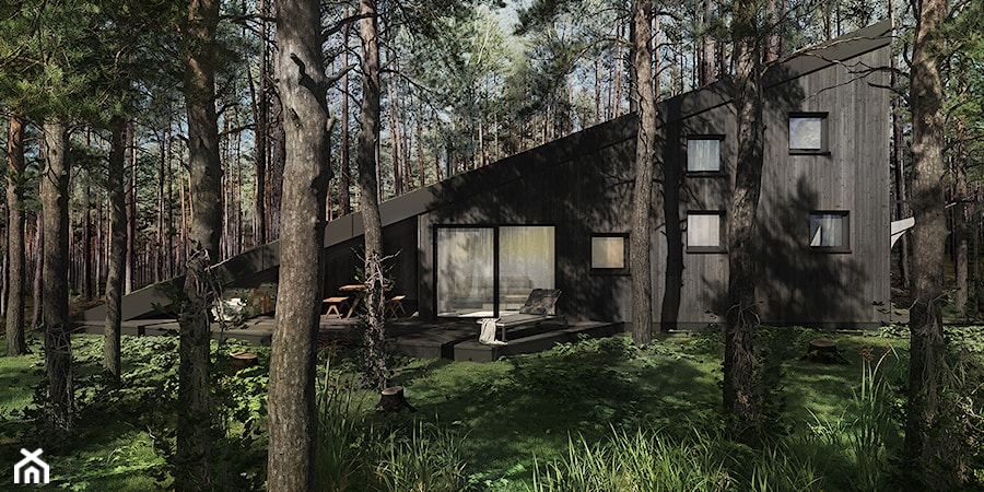 Dom w lesie - Domy, styl rustykalny - zdjęcie od esterior