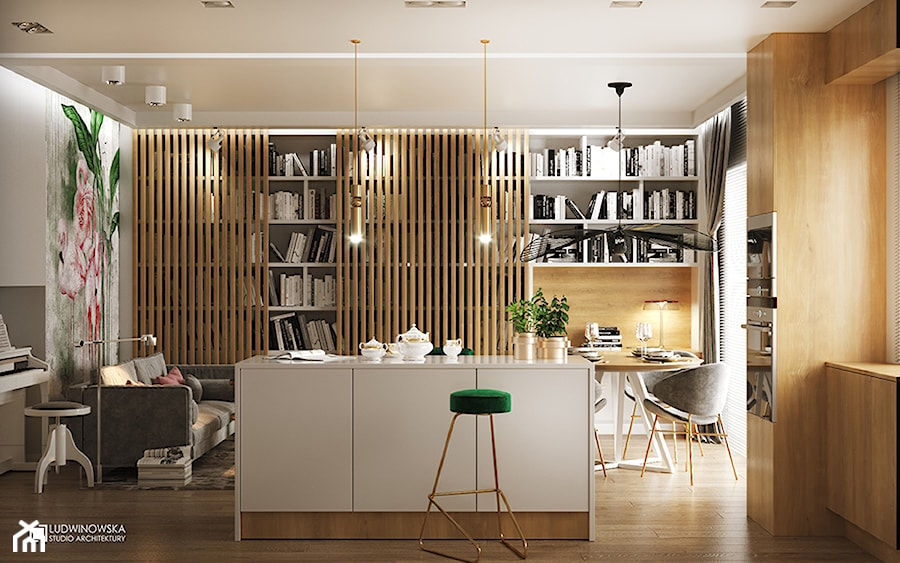 FLAMINGOS - Średni szary salon z kuchnią z jadalnią z bibiloteczką, styl nowoczesny - zdjęcie od Ludwinowska Studio Architektury