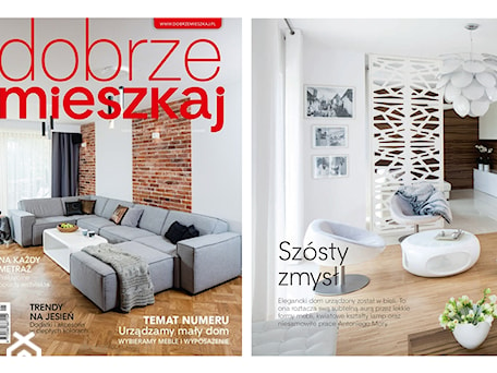 Aranżacje wnętrz - Salon: PUBLIKACJA W DOBRZE MIESZKAJ - Ludwinowska Studio Architektury. Przeglądaj, dodawaj i zapisuj najlepsze zdjęcia, pomysły i inspiracje designerskie. W bazie mamy już prawie milion fotografii!