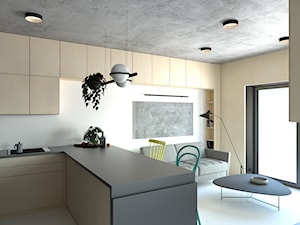 Projekt mieszkania w Katowicach - Salon, styl nowoczesny - zdjęcie od NIE TAK TO TAK Pracownia Architektury Wnętrz
