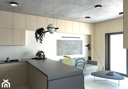 Projekt mieszkania w Katowicach - Salon, styl nowoczesny - zdjęcie od NIE TAK TO TAK Pracownia Architektury Wnętrz
