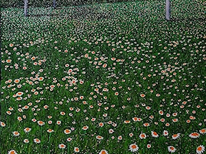Jacek Malinowski - obrazy malowane wiosenne - zdjęcie od Art in House Gallery Online