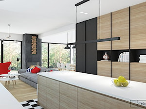 dom pod Warszawą 1 - Kuchnia, styl nowoczesny - zdjęcie od Twój Kwadrat