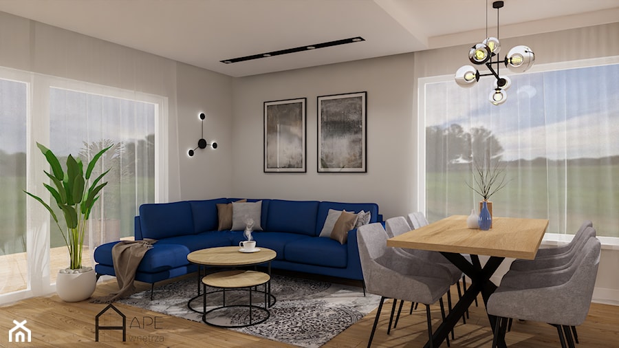 salon z niebieską sofą - zdjęcie od APE wnętrza