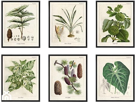 Aranżacje wnętrz - Salon: Botanical Illustration - Wool Wall. Przeglądaj, dodawaj i zapisuj najlepsze zdjęcia, pomysły i inspiracje designerskie. W bazie mamy już prawie milion fotografii!