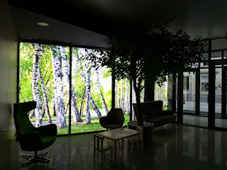 Klinika Serca_ podświetlane ściany z widokiem na las