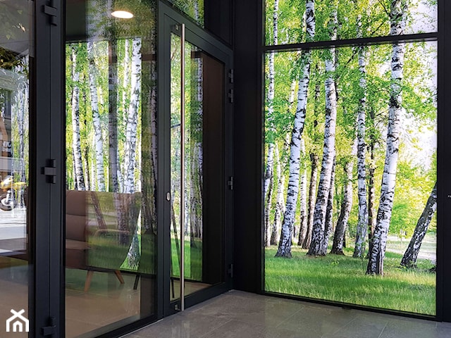Klinika Serca_ podświetlane ściany z widokiem na las