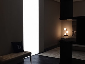 Podświetlana ściana_ dekoracyjne oświetlenie - zdjęcie od ADVERON_ELEMENTY_DEKORACYJNE_PRODUCENT