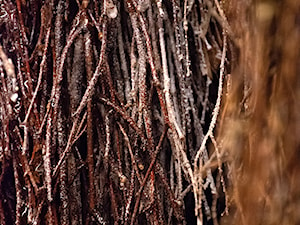 Tężnia solankowa w Zielonkach - zdjęcie od KATHAROS-fotografia