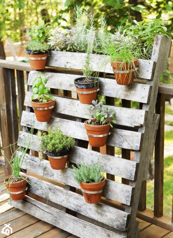 small garden - Taras - zdjęcie od Marzena