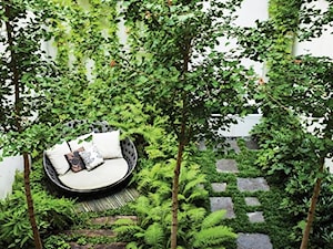 small garden - Średni z meblami ogrodowymi taras z tyłu domu - zdjęcie od Marzena