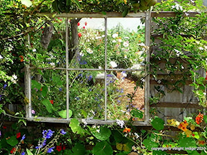 small garden - Ogród - zdjęcie od Marzena