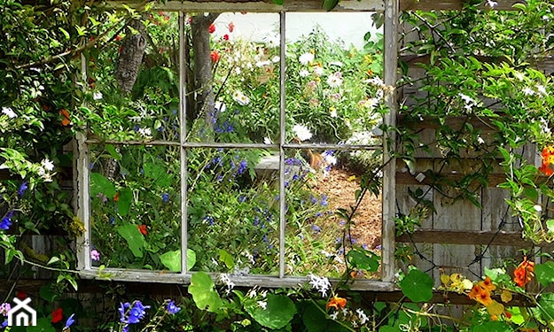 lustro w niewielkim przydomowym ogródku
