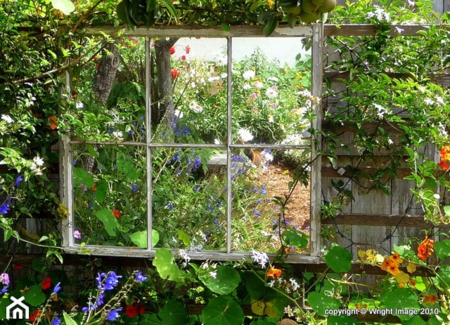 small garden - Ogród - zdjęcie od Marzena