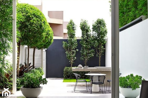 minimalistyczny ogródek z betonem w roli głównej