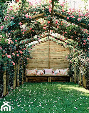 romantyczny ogródek przydomowy z różaną pergolą