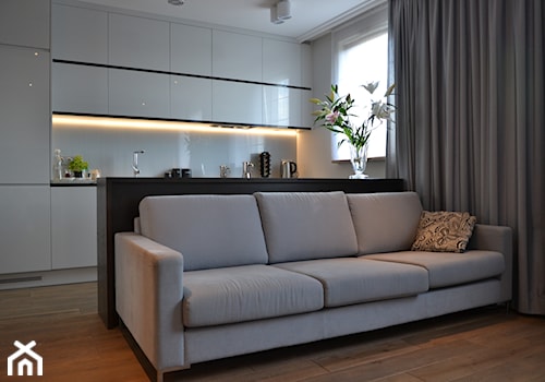 Apartament Sadyba II - Mały biały salon z kuchnią, styl nowoczesny - zdjęcie od Katarzyna Jaskulska Projektowanie Wnętrz