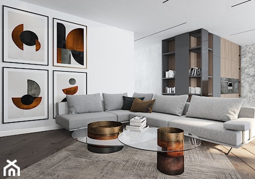 Carmel Apartment - Średni biały salon z kuchnią, styl nowoczesny - zdjęcie od Pracownia Projektowania Wnętrz MAGDA BRZOZOWSKA