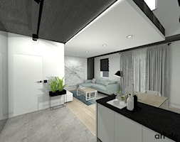 Mieszkanie dwupoziomowe - Salon, styl nowoczesny - zdjęcie od Art Design Studio - Homebook