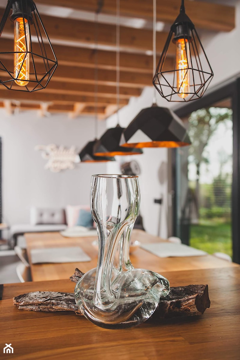 Salon Jadalnia Kuchnia- Kompozycje dekoracyjne z korzeni i szkła - Kuchnia, styl nowoczesny - zdjęcie od Newformglass