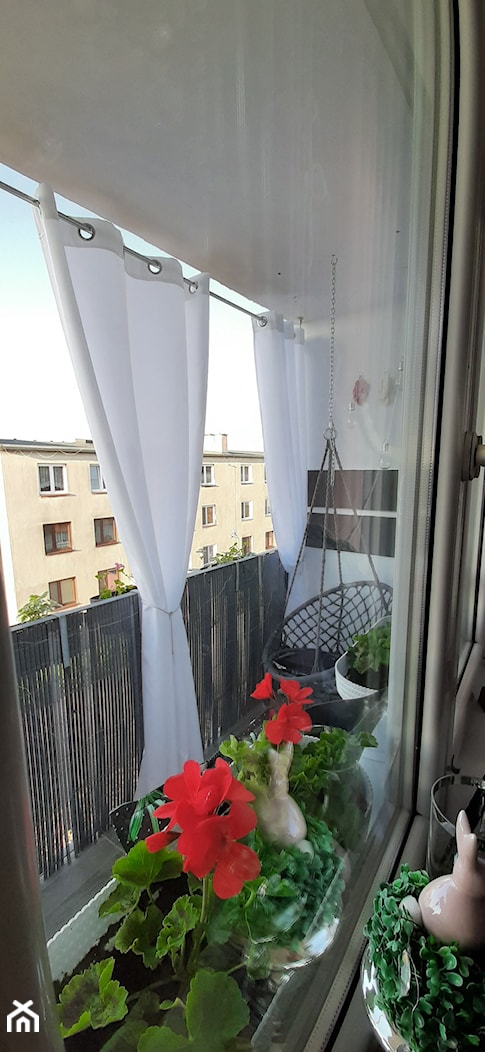 Balkon Pani Agi - Mały z fotelem wiszącym taras z tyłu domu, styl nowoczesny - zdjęcie od Inspiracje użytkowników - Homebook