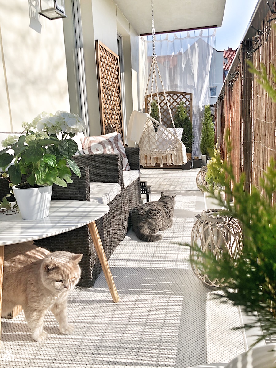 Balkon Pani Elwiry - Mały z meblami ogrodowymi z donicami na kwiaty z fotelem wiszącym taras z tyłu domu, styl nowoczesny - zdjęcie od Inspiracje użytkowników