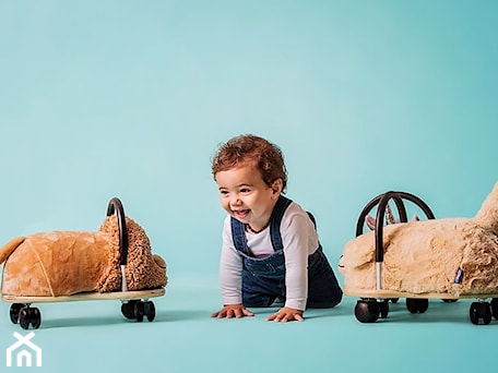 Aranżacje wnętrz - Pokój dziecka: Wheely Bug - bebetupl. Przeglądaj, dodawaj i zapisuj najlepsze zdjęcia, pomysły i inspiracje designerskie. W bazie mamy już prawie milion fotografii!