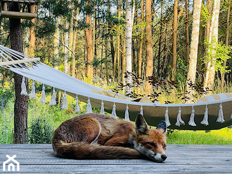 Aranżacje wnętrz - Taras: SMAŻONE POMIDORY - EWEM aranżacja wnętrz Edyta Wełnicka. Przeglądaj, dodawaj i zapisuj najlepsze zdjęcia, pomysły i inspiracje designerskie. W bazie mamy już prawie milion fotografii!