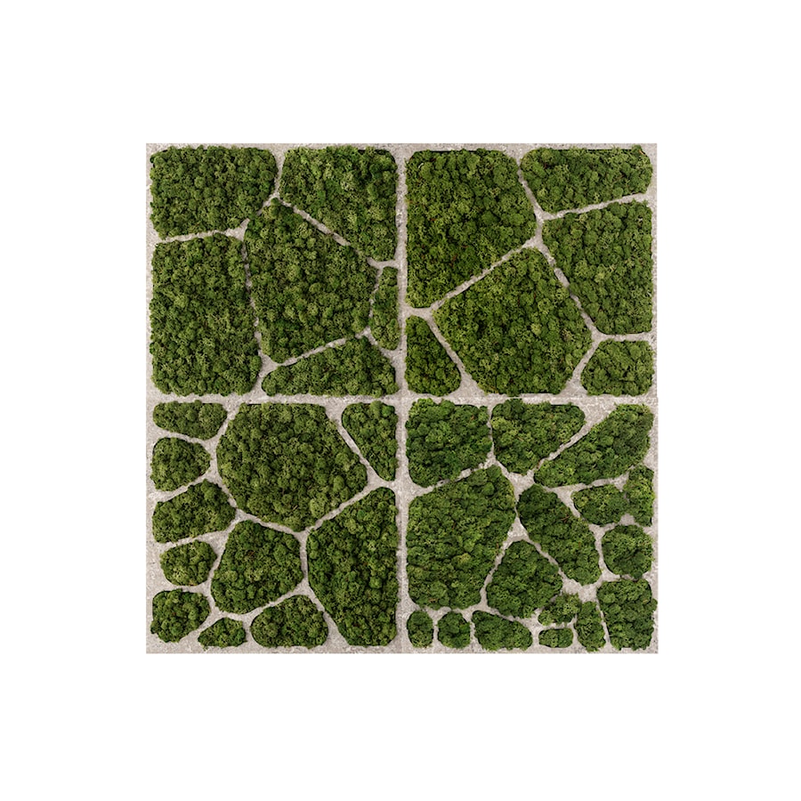 Dekoracja ścienna z naturalnego mchu oraz betonu, w rozmiarze 100×100 cm | CELL #41 - zdjęcie od OVO