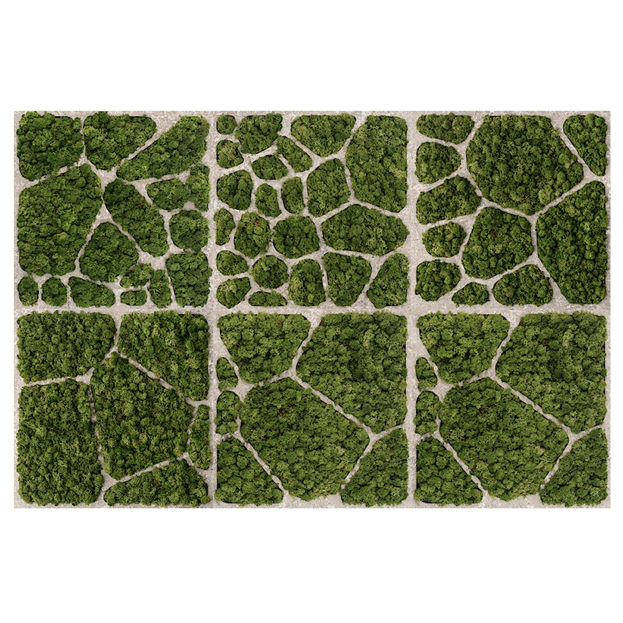 Dekoracja ścienna z naturalnego mchu oraz betonu, w rozmiarze 150×100 cm | CELL #61 - zdjęcie od OVO