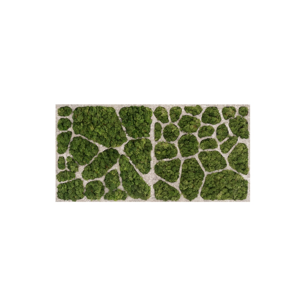 Panel ścienny z naturalnego mchu oraz betonu, w rozmiarze 100×50 cm | CELL #22 - zdjęcie od OVO - Homebook