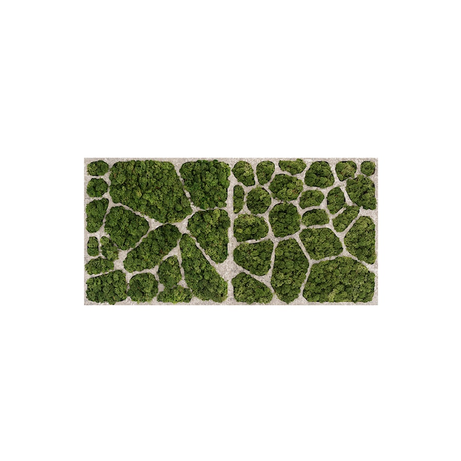 Panel ścienny z naturalnego mchu oraz betonu, w rozmiarze 100×50 cm | CELL #22 - zdjęcie od OVO