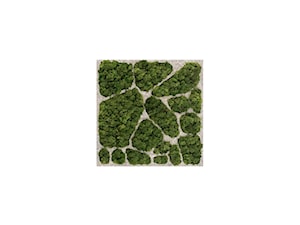 Dekoracja ścienna z naturalnego mchu oraz betonu, w rozmiarze 50×50 cm | CELL #11 - zdjęcie od OVO