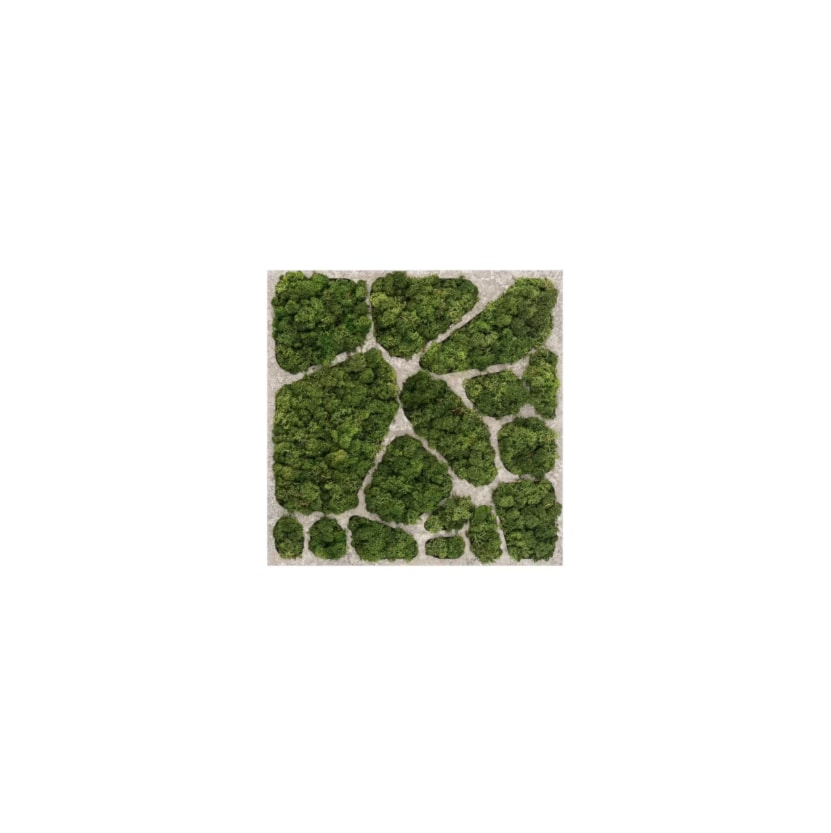 Dekoracja ścienna z naturalnego mchu oraz betonu, w rozmiarze 50×50 cm | CELL #11 - zdjęcie od OVO - Homebook