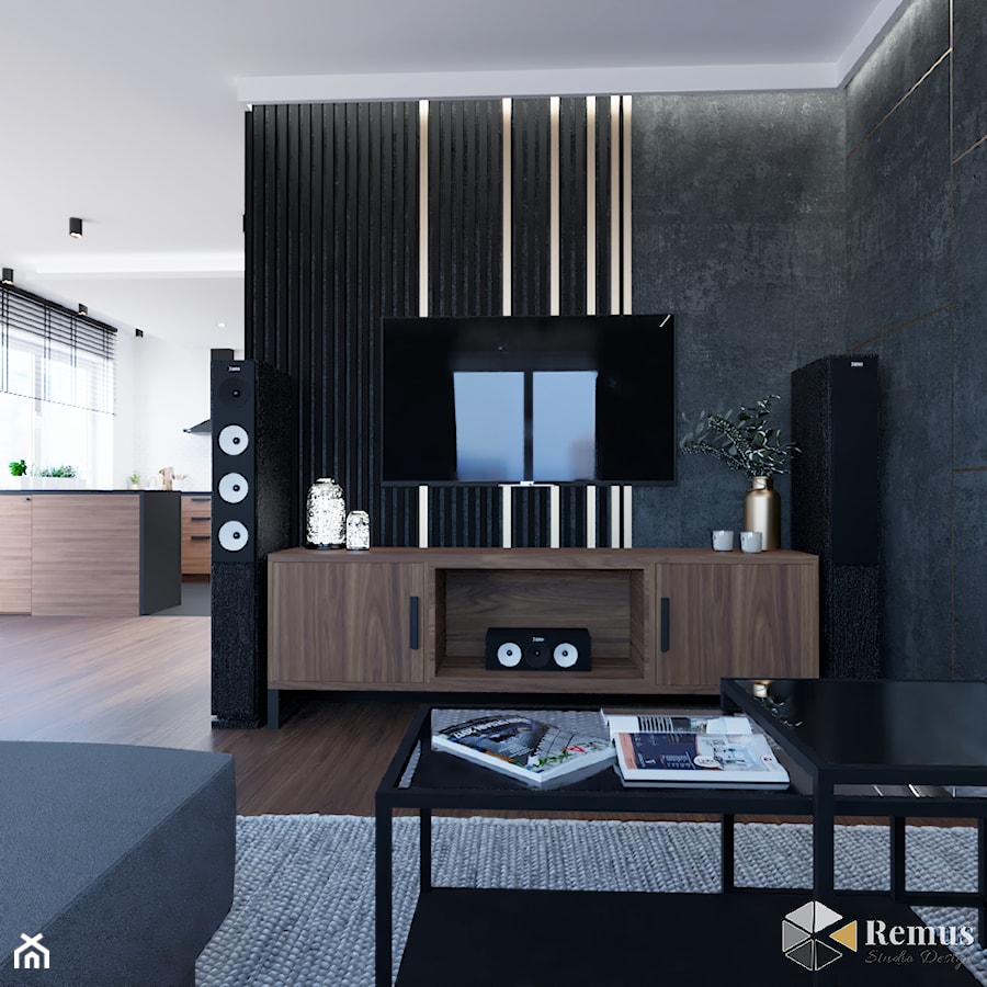 Salon Apartament Popowice - zdjęcie od Remus Studio Design