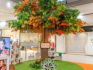 Drzewa Sztuczne Drzewka - zdjęcie od Producent Sztucznych Drzew firma ORCHIDEA