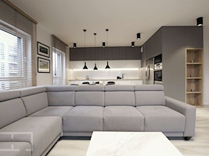 REALIZACJA projektu apartamentu - Salon, styl nowoczesny - zdjęcie od EFEKT DOMINA Projektowanie Wnętrz