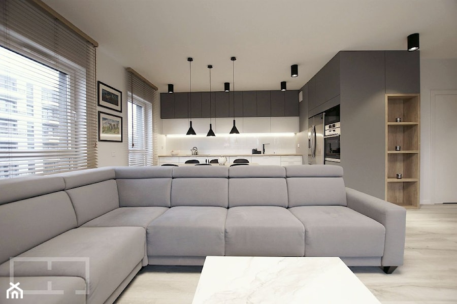 REALIZACJA projektu apartamentu - Salon, styl nowoczesny - zdjęcie od EFEKT DOMINA Projektowanie Wnętrz