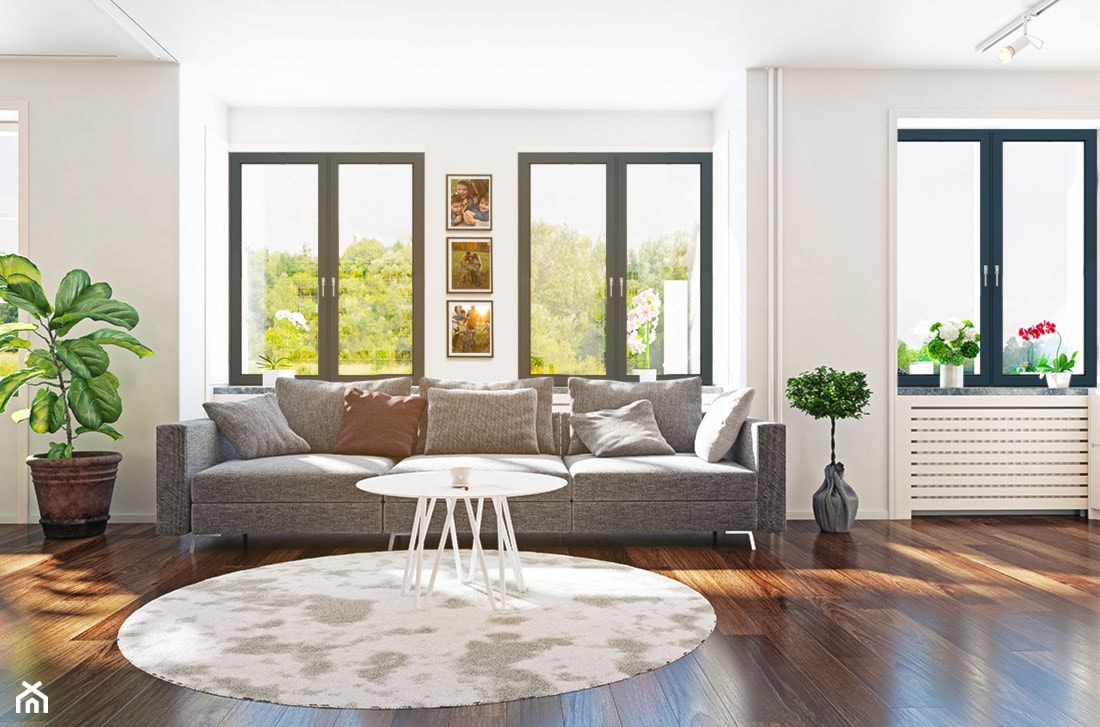 T-Comfort - nowoczesne okna do każdego domu - Salon, styl tradycyjny - zdjęcie od BUDVAR - Homebook