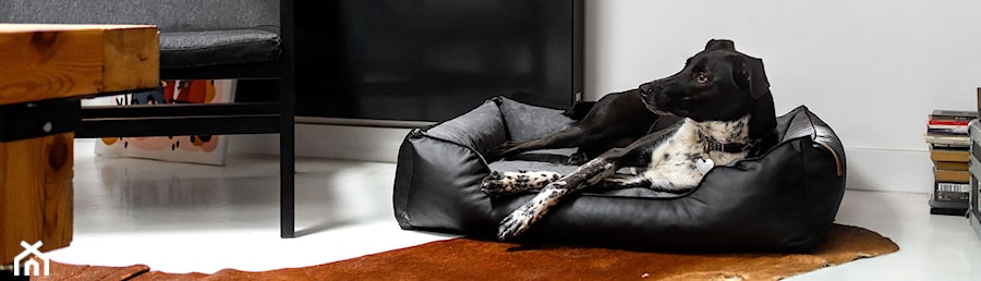 REXPRODUCT DOG BED - zdjęcie od REXPRODUCT.COM