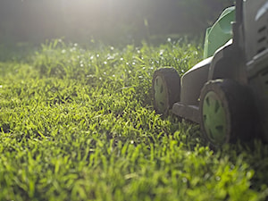 Jak dbać o trawnik na wiosnę?