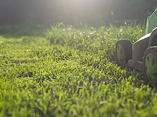 Jak dbać o trawnik na wiosnę? Przygotowanie trawnika po zimie, sadzenie trawy i pierwsze koszenie