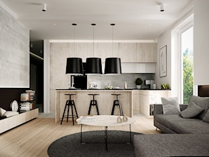 STRZESZEWSKIEGO - Średni biały szary salon z kuchnią z jadalnią, styl nowoczesny - zdjęcie od KAEL Architekci