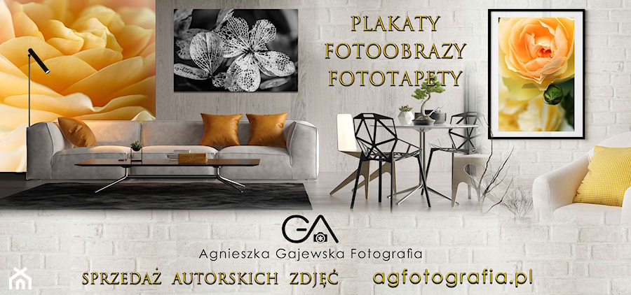 Agnieszka Gajewska Fotografia - zdjęcie od Agnieszka Gajewska Fotografia