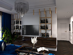 Mieszkanie w Warszawie - Salon, styl tradycyjny - zdjęcie od ES Projekty Wnętrz