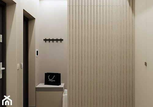 wnętrza domu - Hol / przedpokój, styl minimalistyczny - zdjęcie od ES Projekty Wnętrz